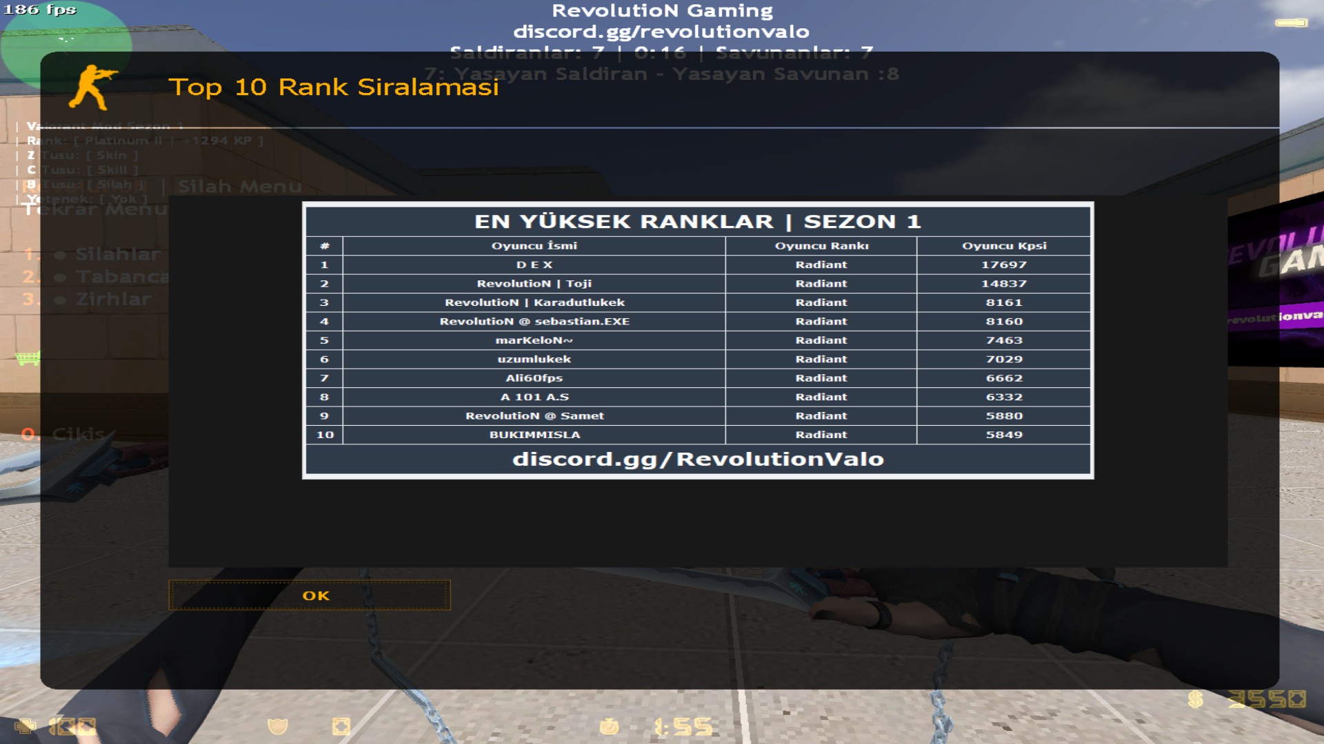 ds-20240915163329-1-16579