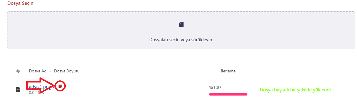 ds-adsiz2-4902