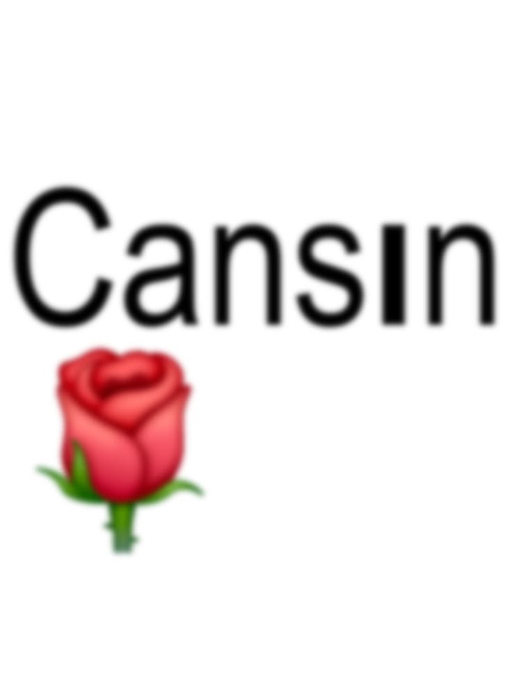 ds-cansin-20401