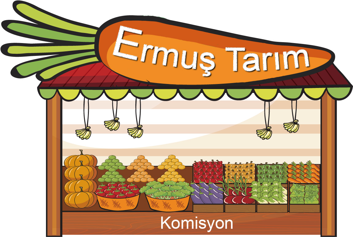 ds-ermus-tarim-3626