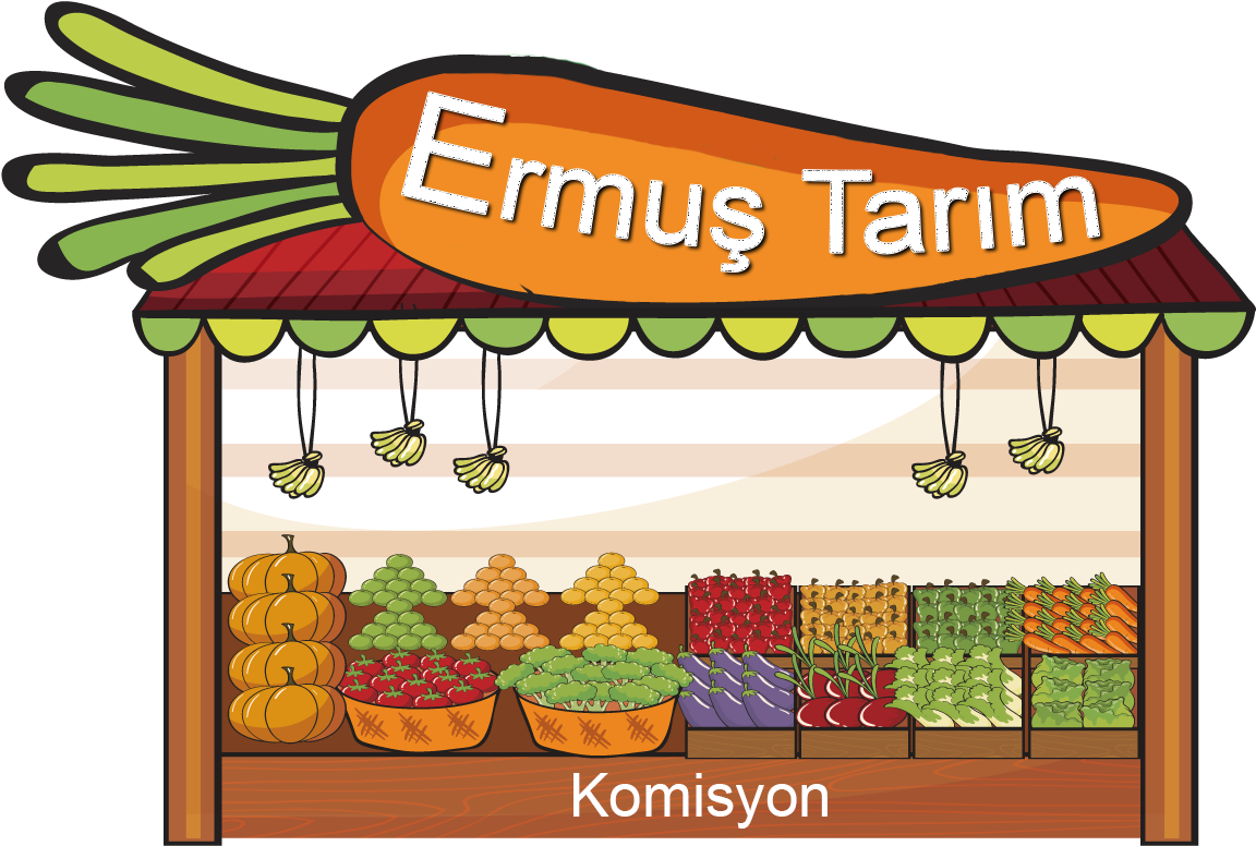 ds-ermus-tarim-3628