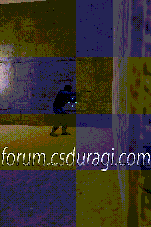ds-flash-spr-5379 ds-flash-spr-5379