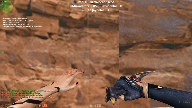 ds-halflife2025-12-31-15-09-00-03-ezgif-