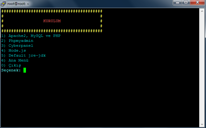 ds-hosting-kurulum-menusu-8393