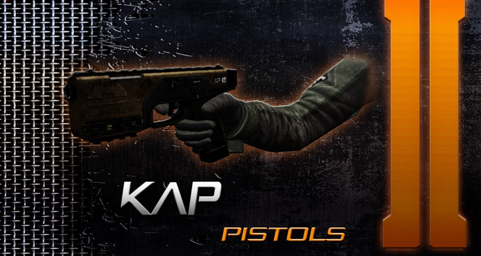 ds-kap40v1-7299