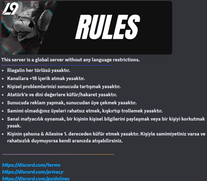 ds-l9kurallar-10947