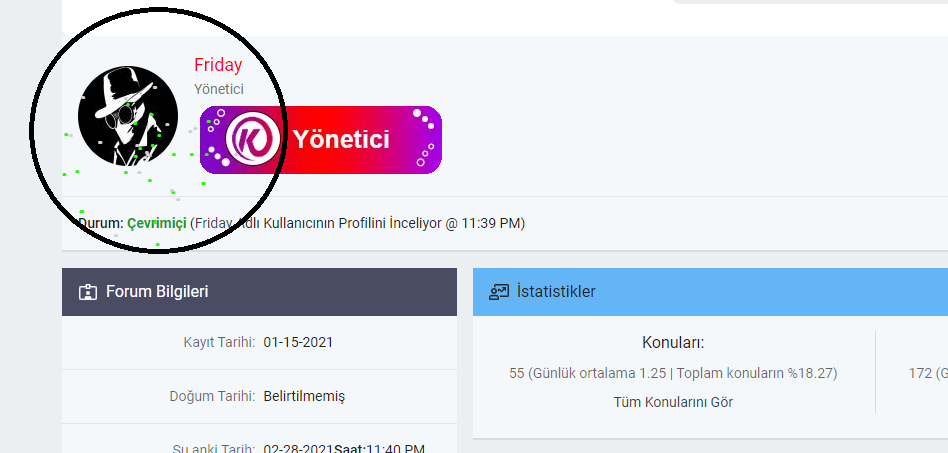 ds-mybb-havai-fisek-eklentisi-3901