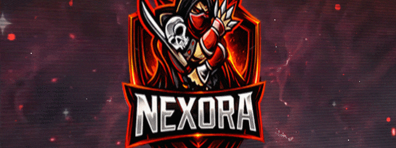 ds-nexorabanner-18450