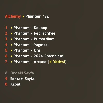 ds-phantom-skin-19911