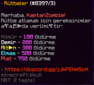 ds-rank3-12009