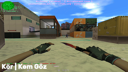 ds-reyna-disaridan-skill-19891
