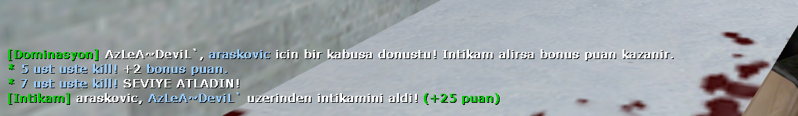 ds-screenshot-12-19946