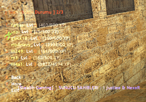 ds-silahxp2-17563