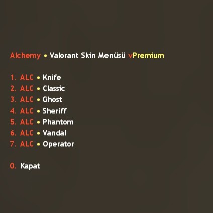 ds-skin-menu-19906