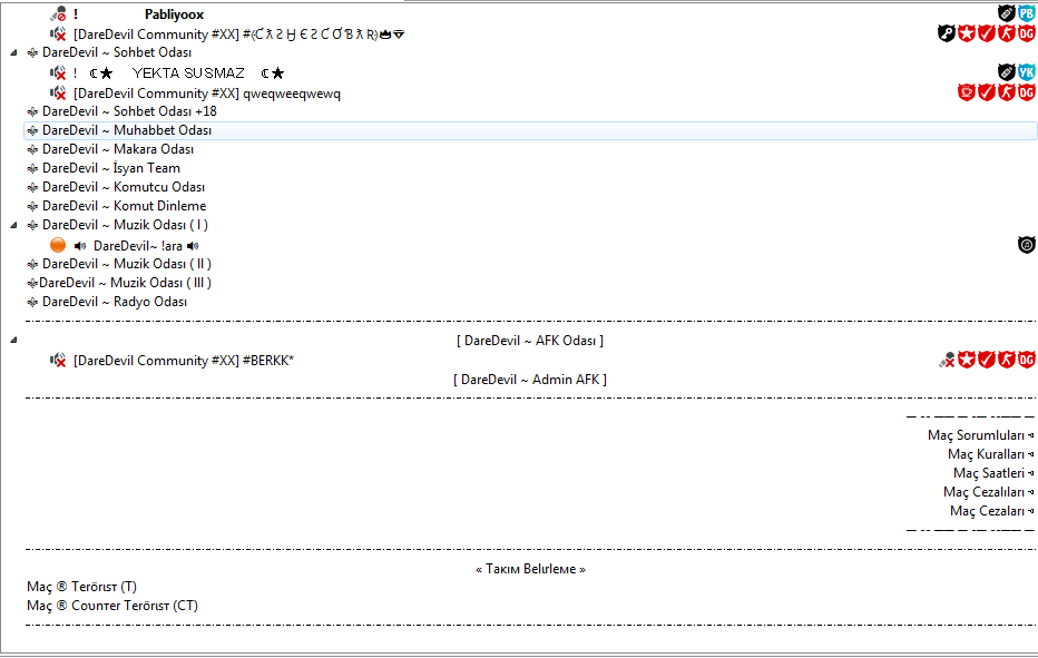 ds-ssw3-8943