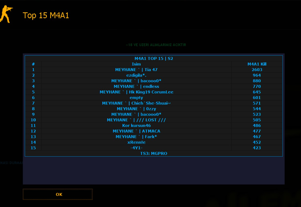 ds-top15m4a1-18245