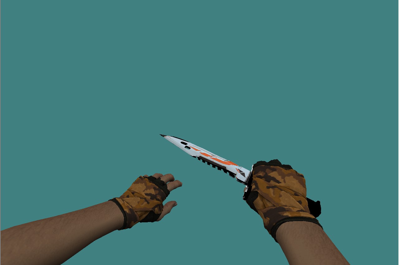 ds-v-bayonet-9921