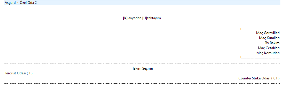 ds-v3-10737