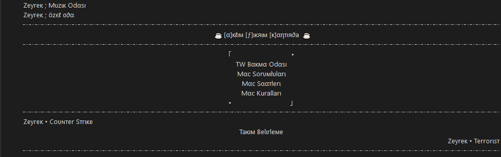 ds-v3v3v3-11624