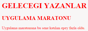 5e6276a2f308e_css_yazim_kurallari-6
