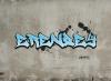 Avatar: Erenypcgl